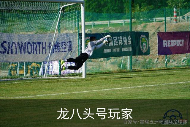 关于龙八头号玩家
